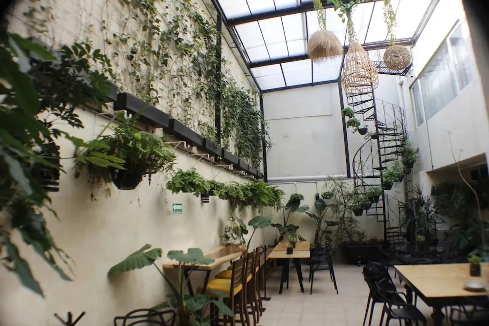 Área verde interior de Flat White Condesa
